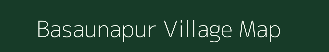 Basaunapur village map in Bihar