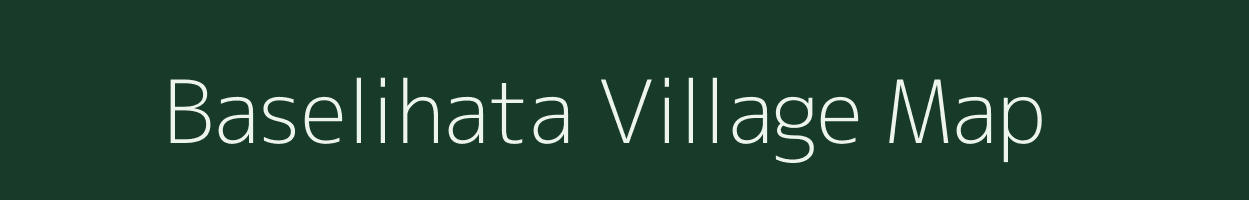 Baselihata village map in Odisha