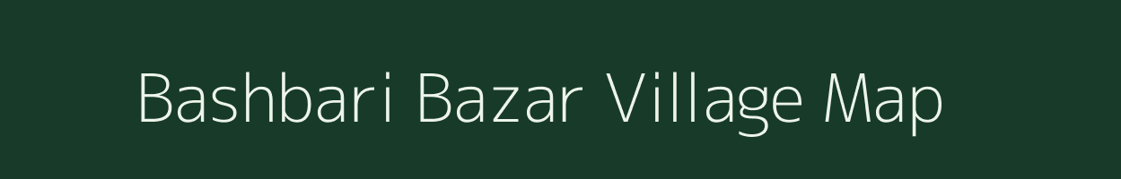 Bashbari Bazar village map in Assam