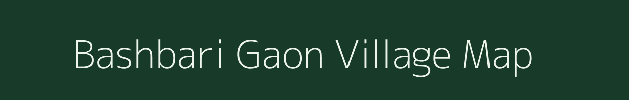 Bashbari Gaon village map in Assam