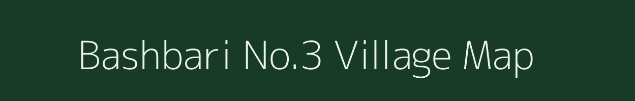 Bashbari No.3 village map in Assam