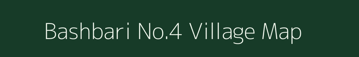 Bashbari No.4 village map in Assam