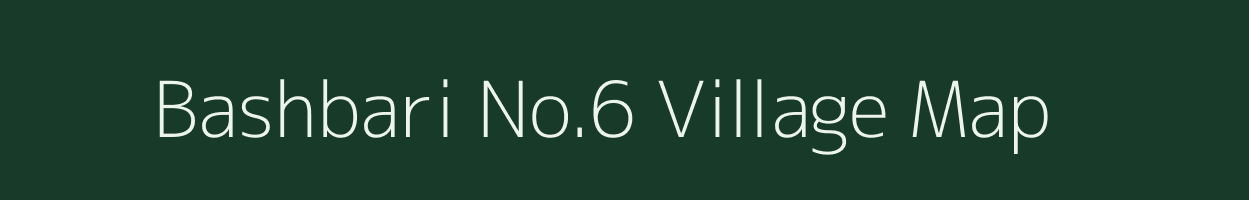 Bashbari No.6 village map in Assam