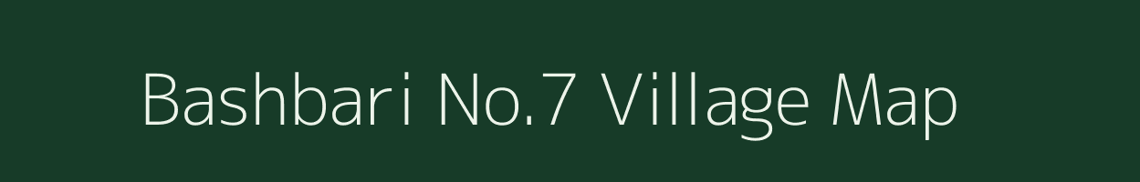 Bashbari No.7 village map in Assam