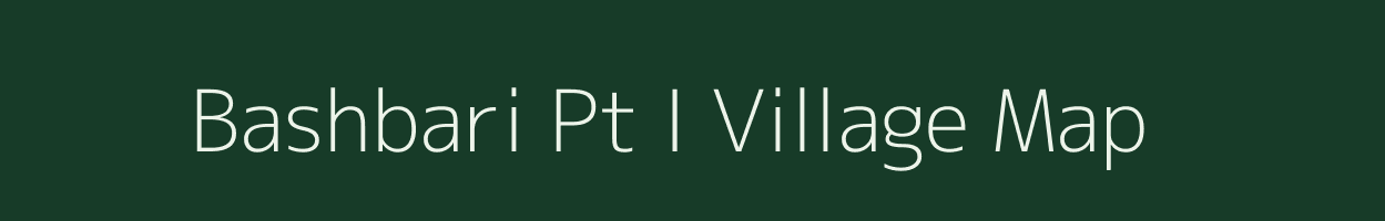 Bashbari Pt I village map in Assam