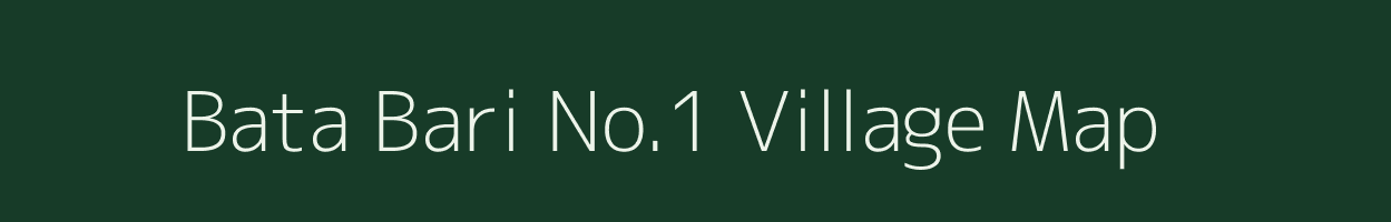 Bata Bari No.1 village map in Assam