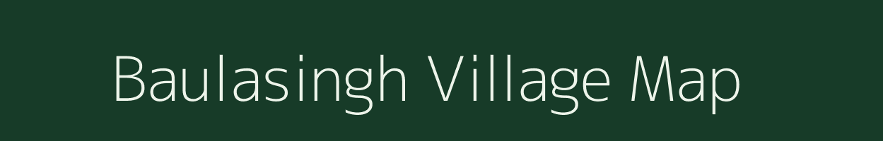 Baulasingh village map in Odisha
