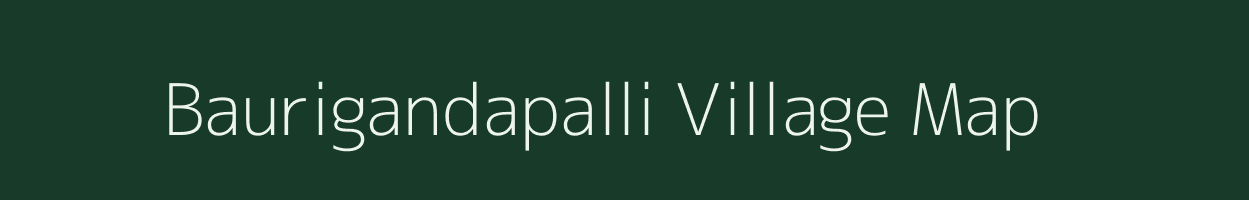 Baurigandapalli village map in Odisha