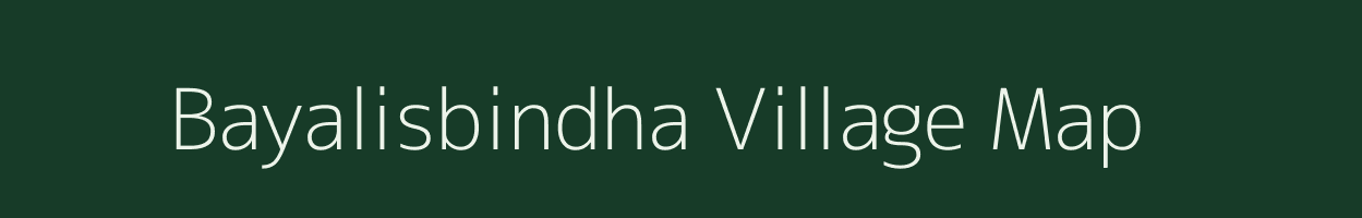 Bayalisbindha village map in Odisha