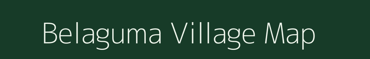 Belaguma village map in Odisha