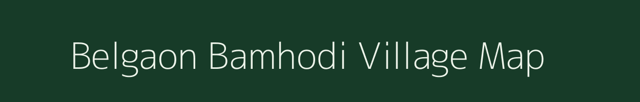 Belgaon Bamhodi village map in Madhya Pradesh