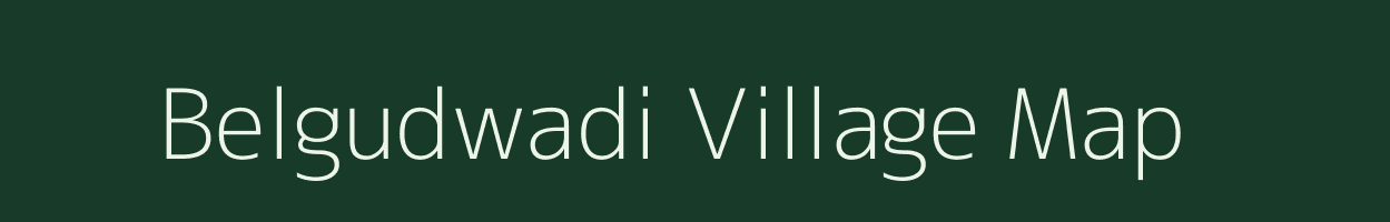 Belgudwadi village map in Maharashtra