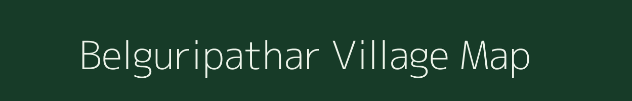 Belguripathar village map in Assam