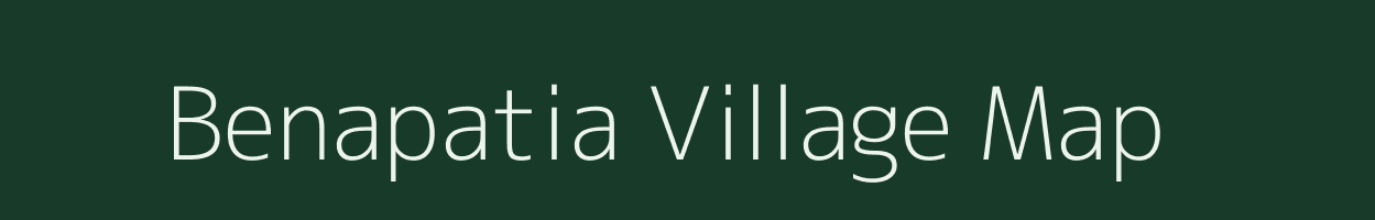 Benapatia village map in Odisha