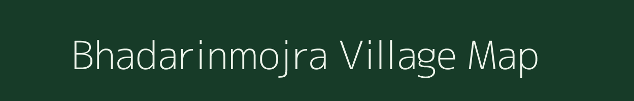 Bhadarinmojra village map in Madhya Pradesh