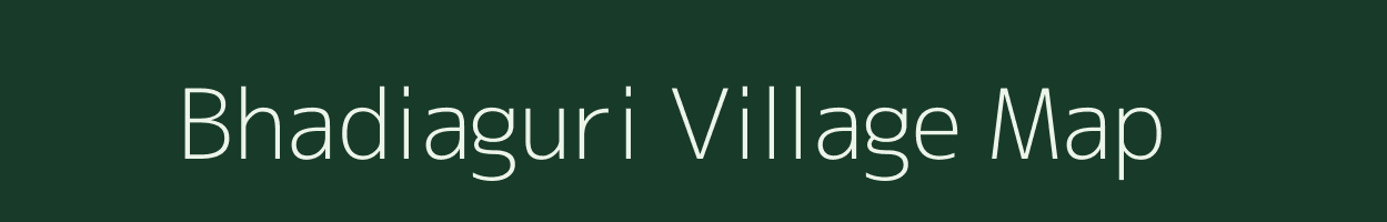 Bhadiaguri village map in Assam