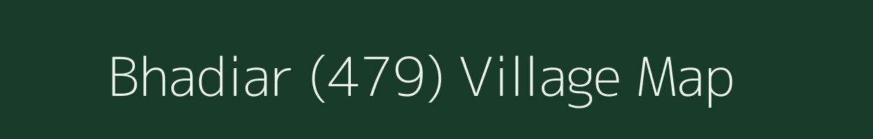 Bhadiar (479) village map in Punjab