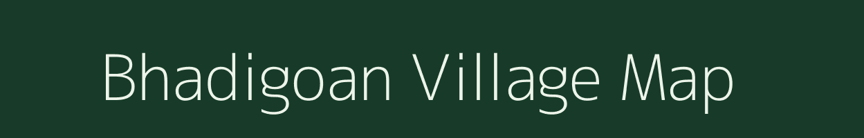 Bhadigoan village map in Odisha