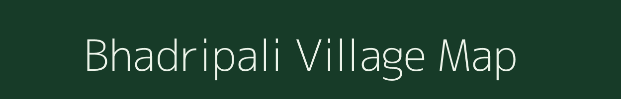 Bhadripali village map in Chhattisgarh