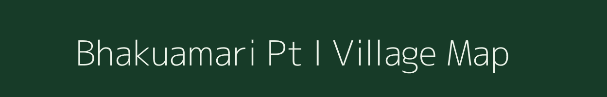 Bhakuamari Pt I village map in Assam