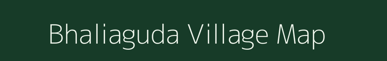 Bhaliaguda village map in Odisha