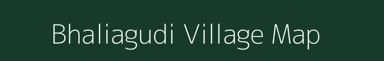 Bhaliagudi village map in Odisha