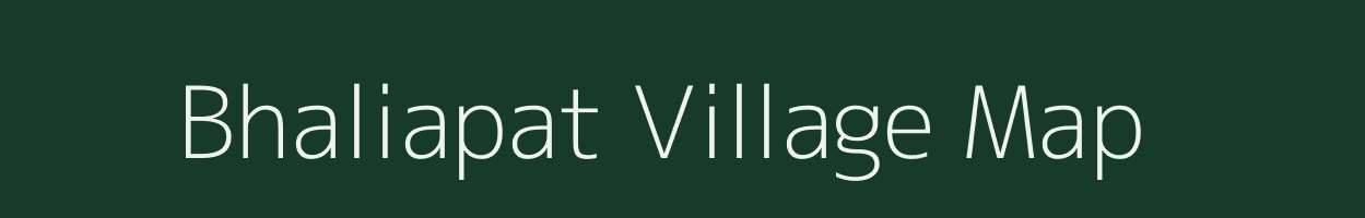 Bhaliapat village map in Odisha