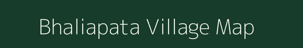 Bhaliapata village map in Odisha