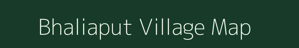 Bhaliaput village map in Odisha