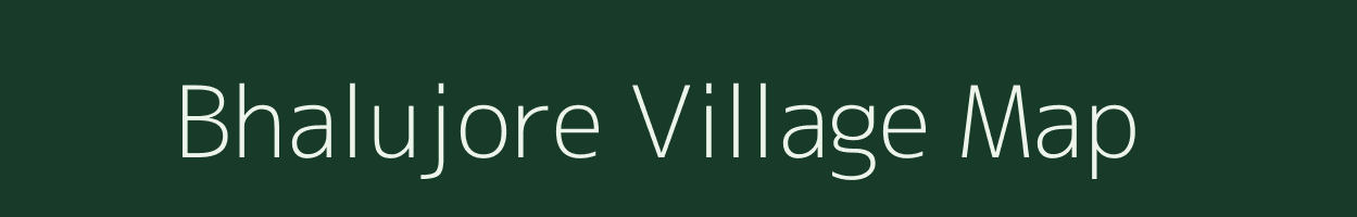 Bhalujore village map in Odisha