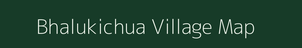 Bhalukichua village map in Odisha