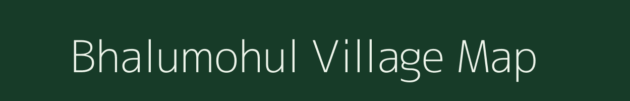 Bhalumohul village map in Odisha