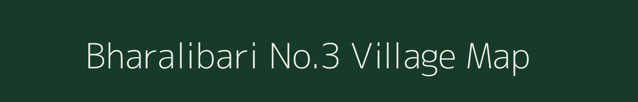 Bharalibari No.3 village map in Assam