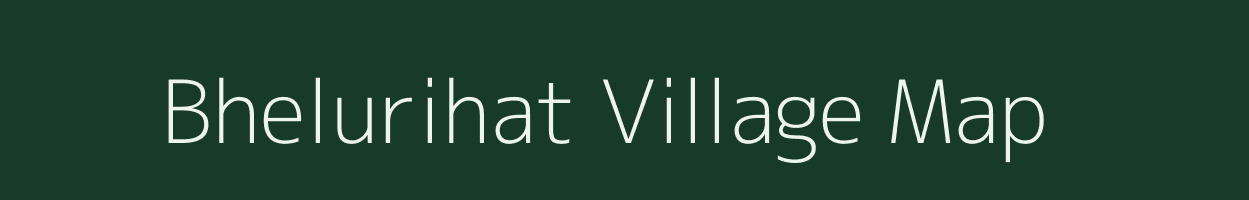 Bhelurihat village map in Odisha