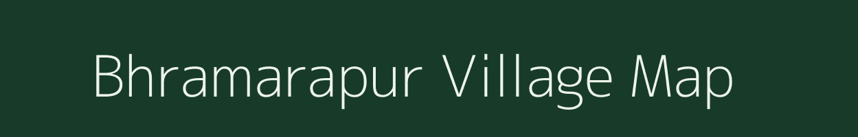 Bhramarapur village map in Odisha