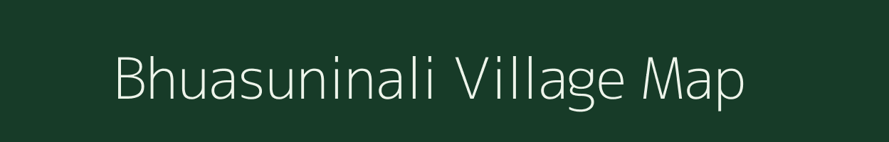 Bhuasuninali village map in Odisha