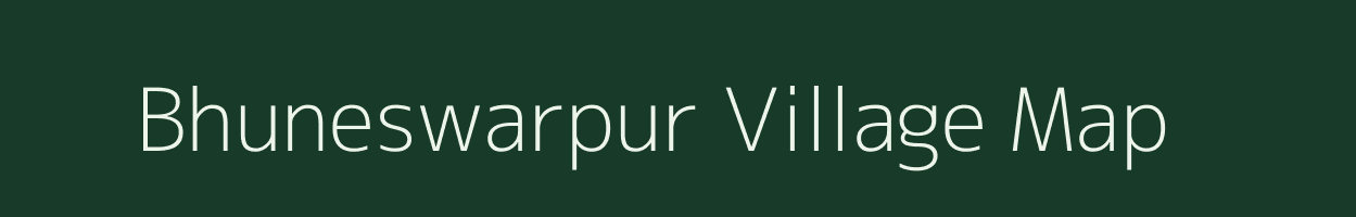 Bhuneswarpur village map in Chhattisgarh