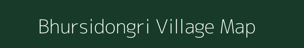 Bhursidongri village map in Chhattisgarh