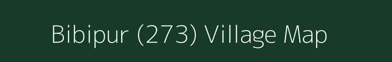 Bibipur (273) village map in Haryana