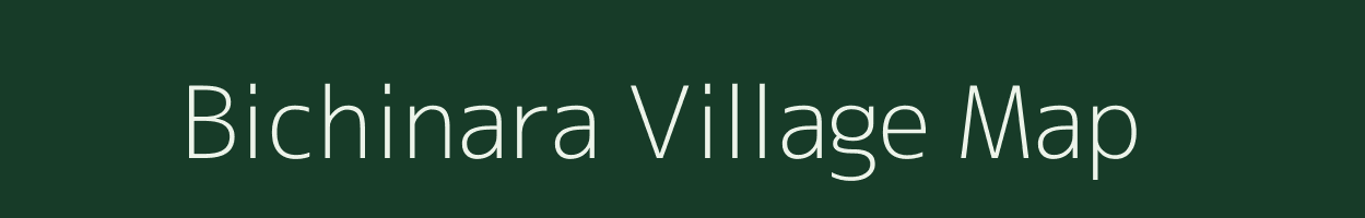 Bichinara village map in Chhattisgarh