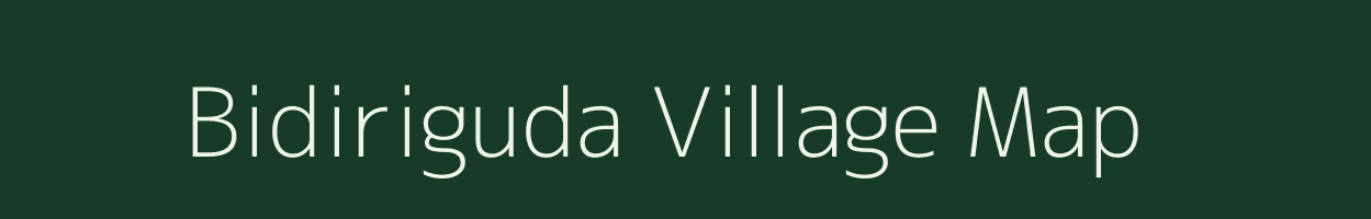 Bidiriguda village map in Odisha