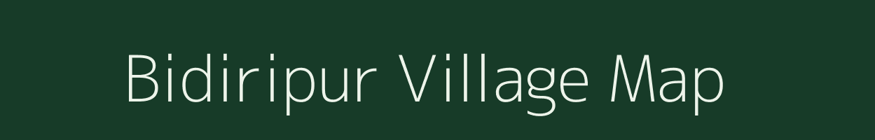 Bidiripur village map in Odisha