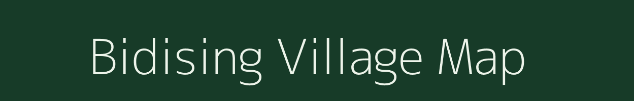 Bidising village map in Odisha