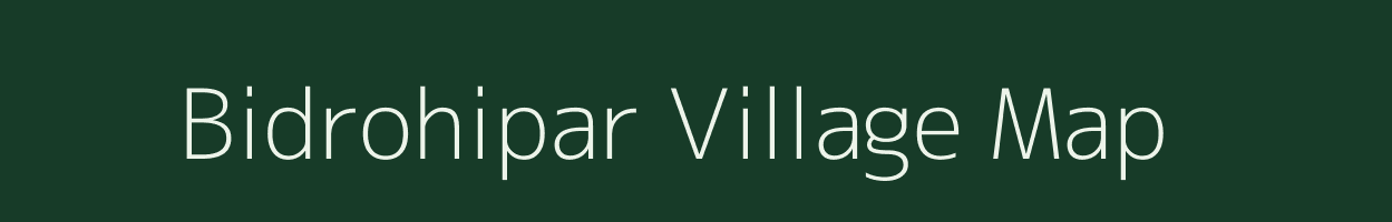 Bidrohipar village map in Assam