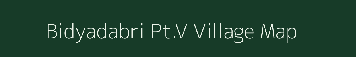 Bidyadabri Pt.V village map in Assam