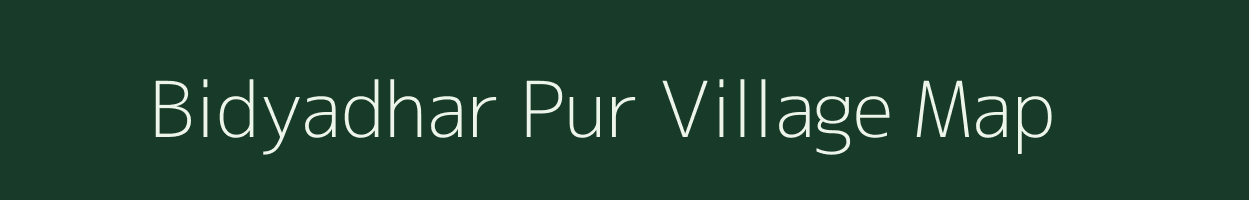 Bidyadhar Pur village map in Odisha