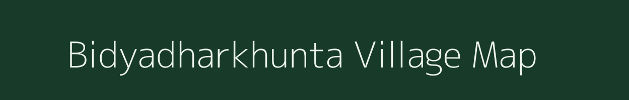 Bidyadharkhunta village map in Odisha