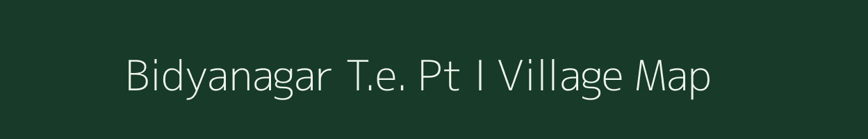 Bidyanagar T.e. Pt I village map in Assam