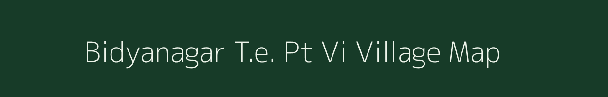 Bidyanagar T.e. Pt Vi village map in Assam