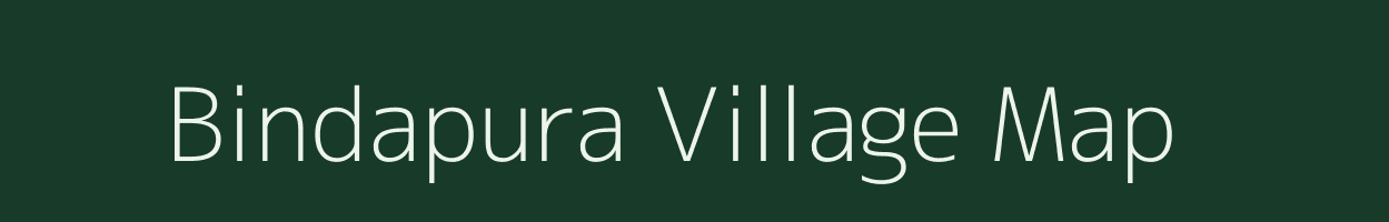 Bindapura village map in Rajasthan